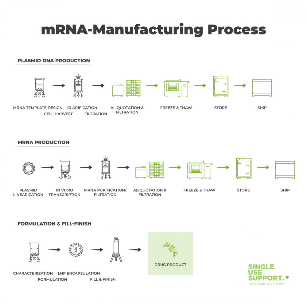 mrna-manufacturing-process