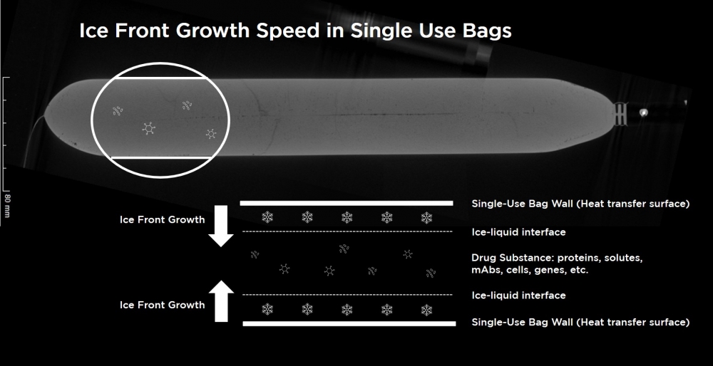 ice-front-growth-speed-single-use-bags