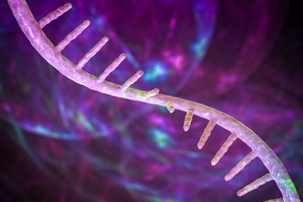 mRNA technology simply explained