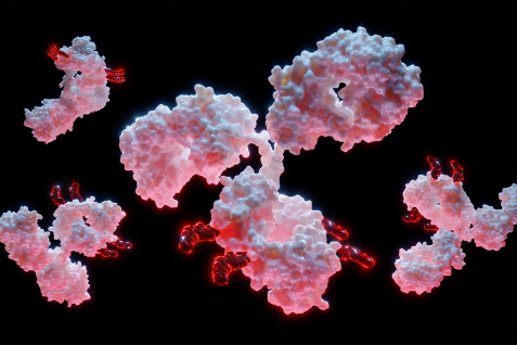 antibody-drug conjugates illustration
