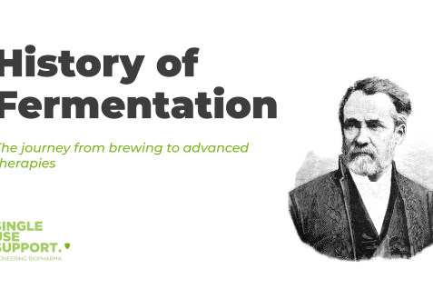 history-fermentation