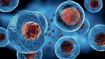 Cell viability: 7 facts to be aware of