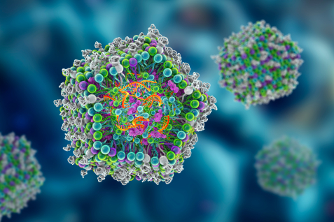 Where are lipid nanoparticles (LNPs) used?