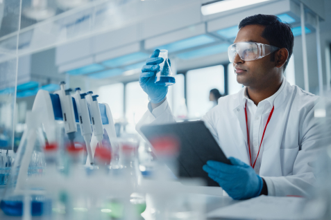 What are the stages in vaccine development?