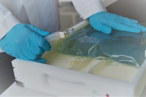 Case study: How to ensure sterility in end-to-end bulk management