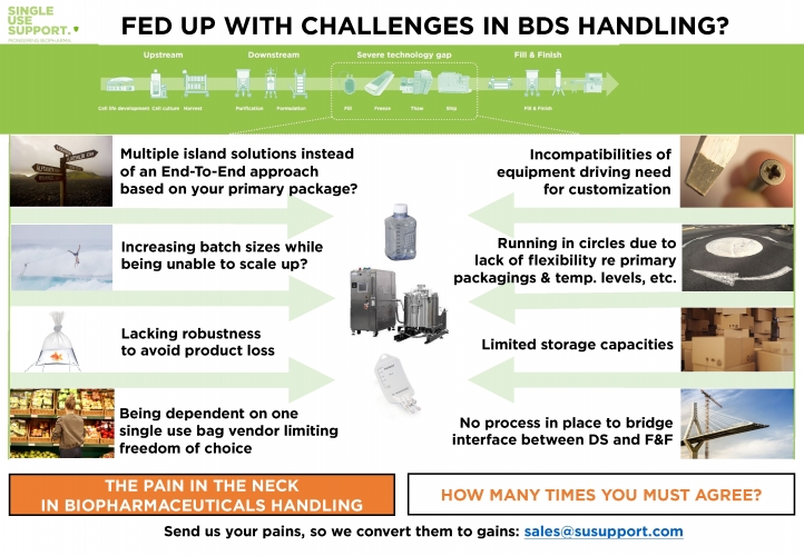 Hybrid_process_solution Hybrid_process_solution