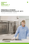 Whitepaper_Freezing & Storage biopharmaceuticals at -80°C_Single Use Support