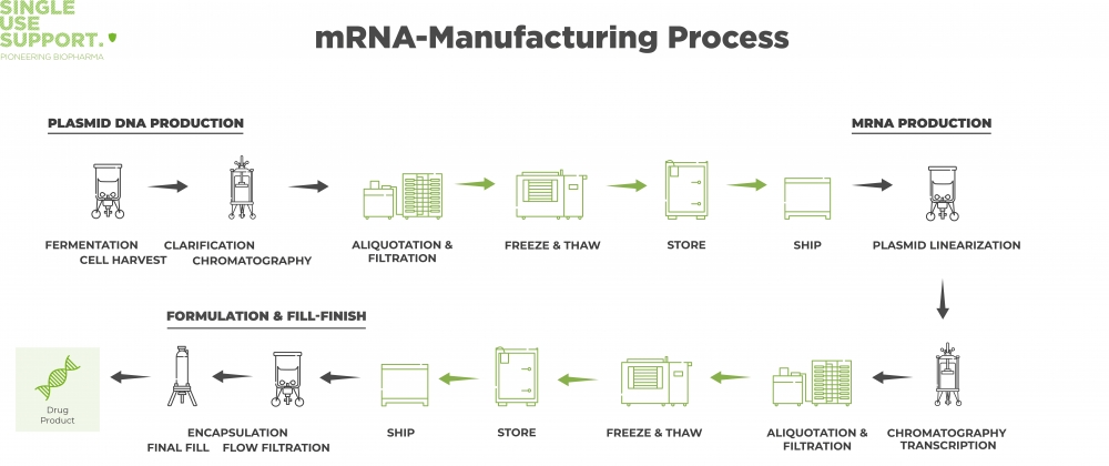 mRNA-Manufacturing Prozess