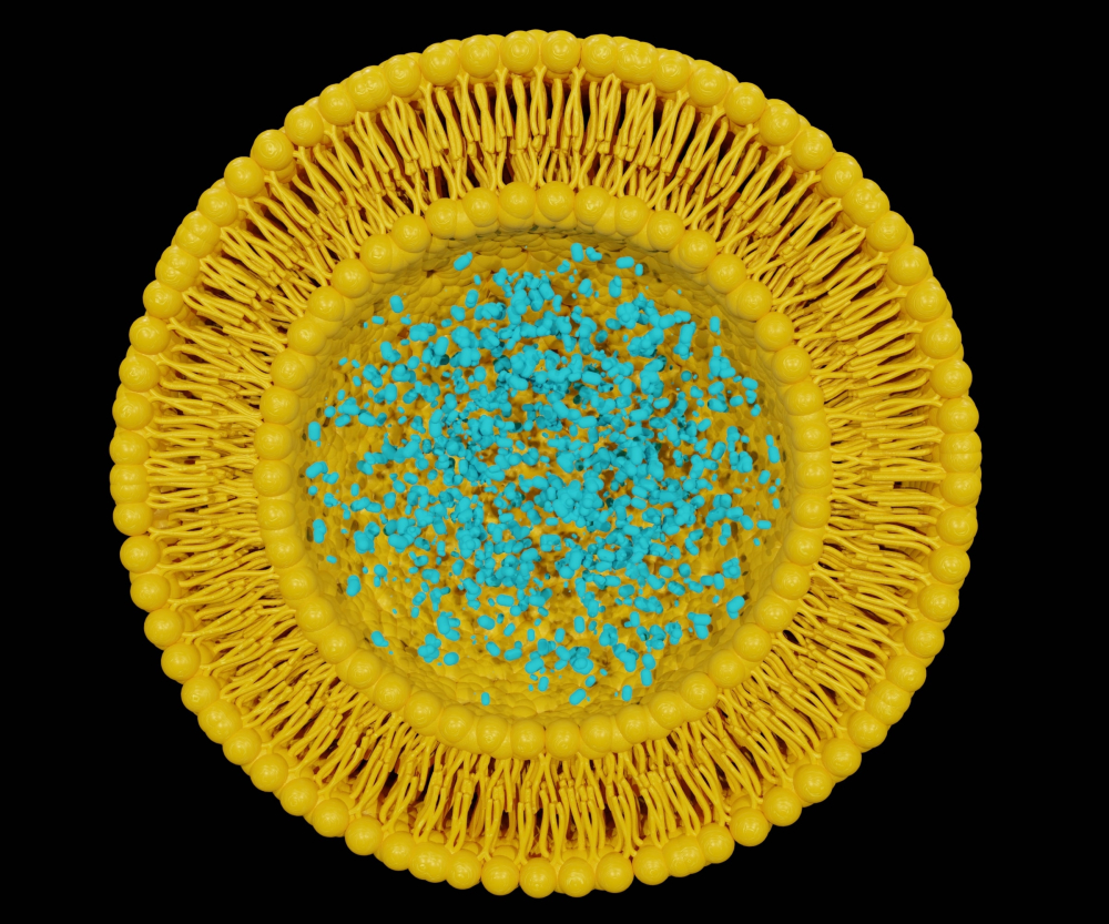 Understanding lipid nanoparticles