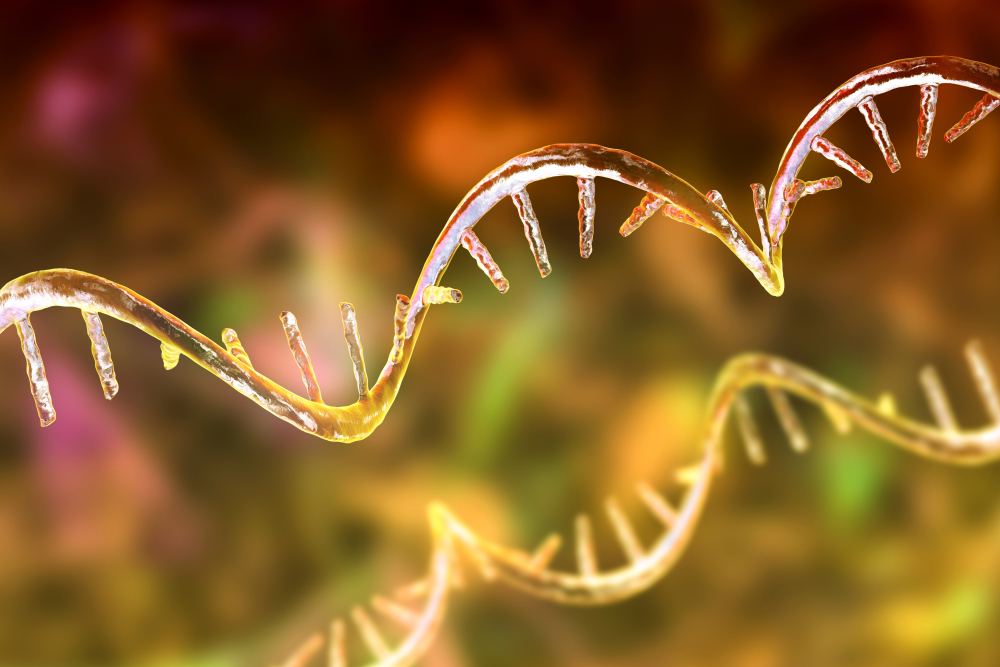 mRNA stability during freezing