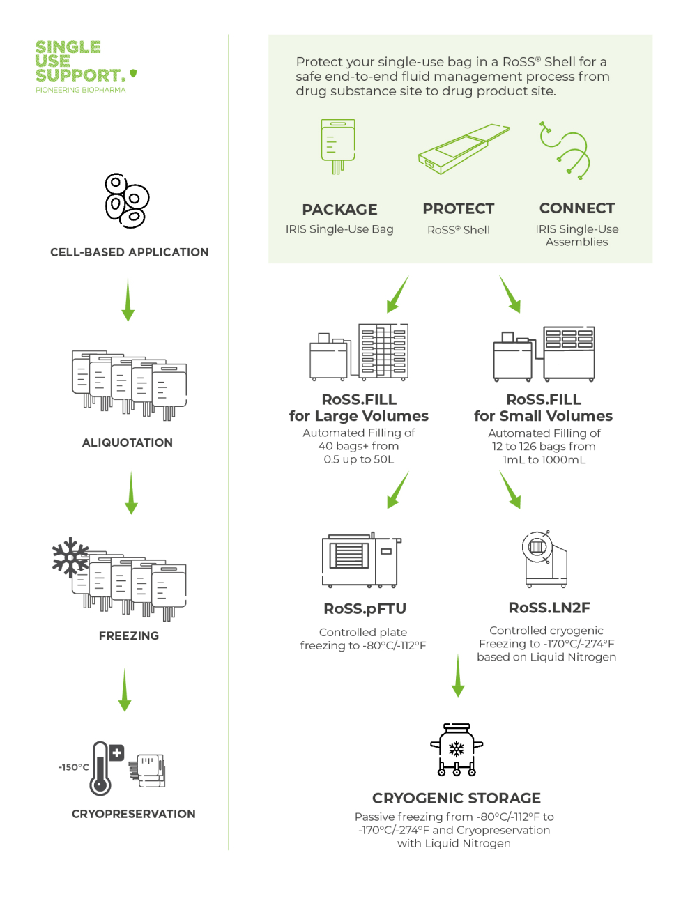 freeze-thaw-process-cryopreservation freeze-thaw-process-cryopreservation