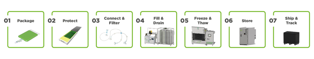 E2E Process Overview_QUER_with Manifold