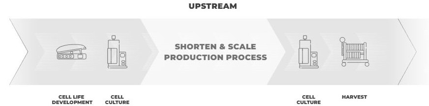 upstream-manufacturing-process