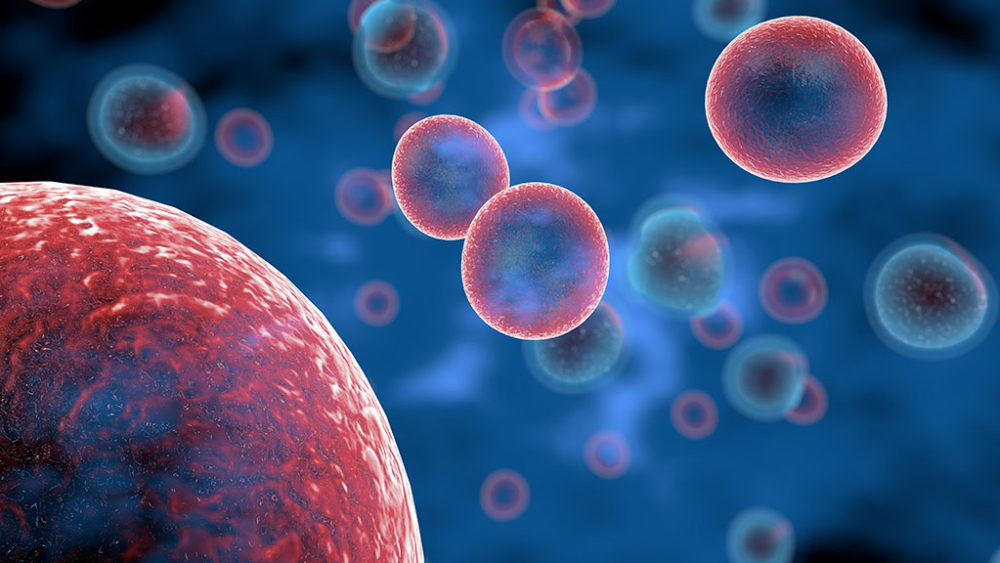Cell and gene therapy Cell and gene therapy
