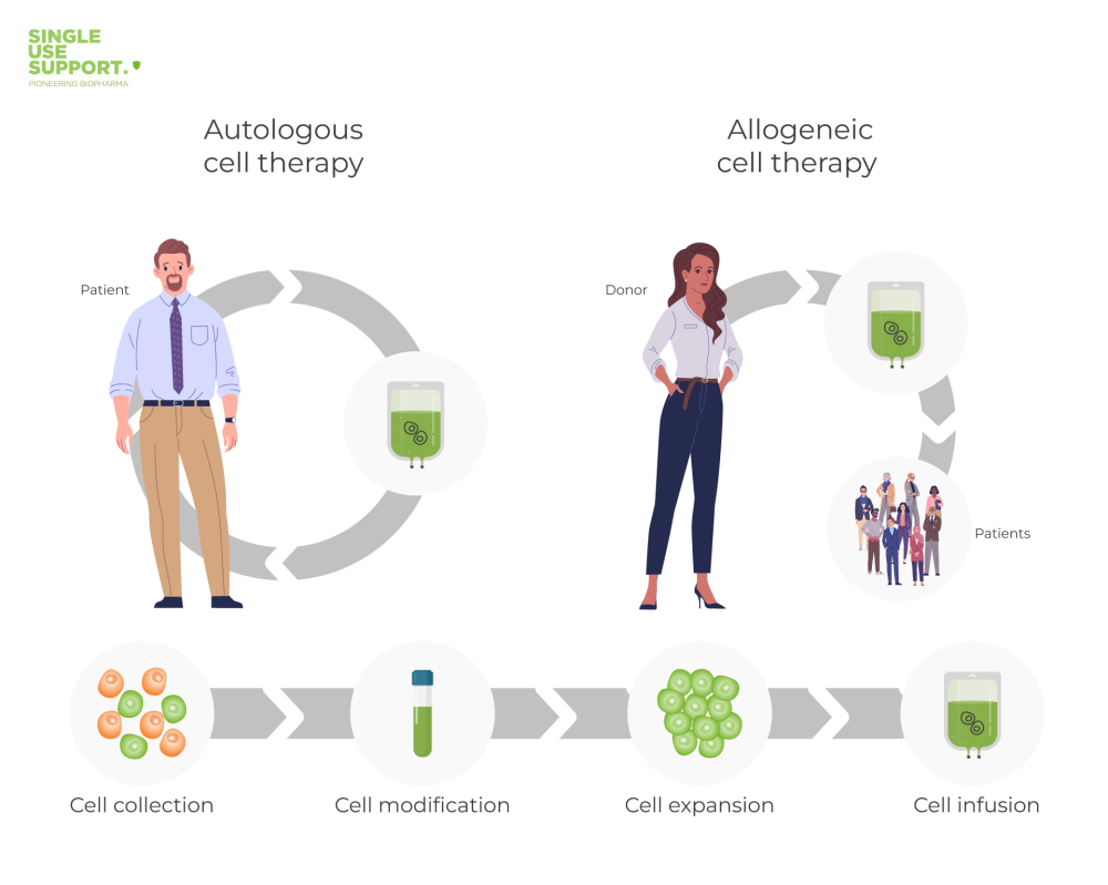 Allogeneic or autologous – here’s the difference