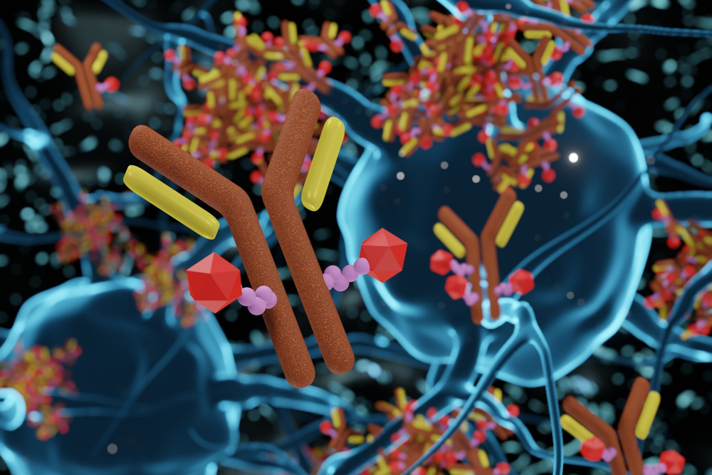 How do ADC therapeutics work?