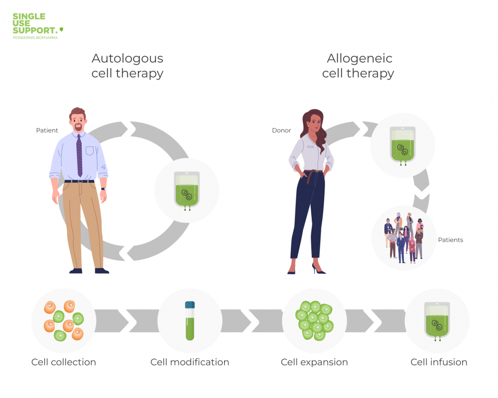 Definition of Autologous vs allogeneic cell therapy