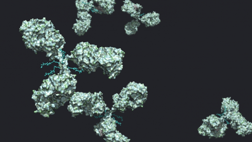 antibody-drug conjugates illustration2
