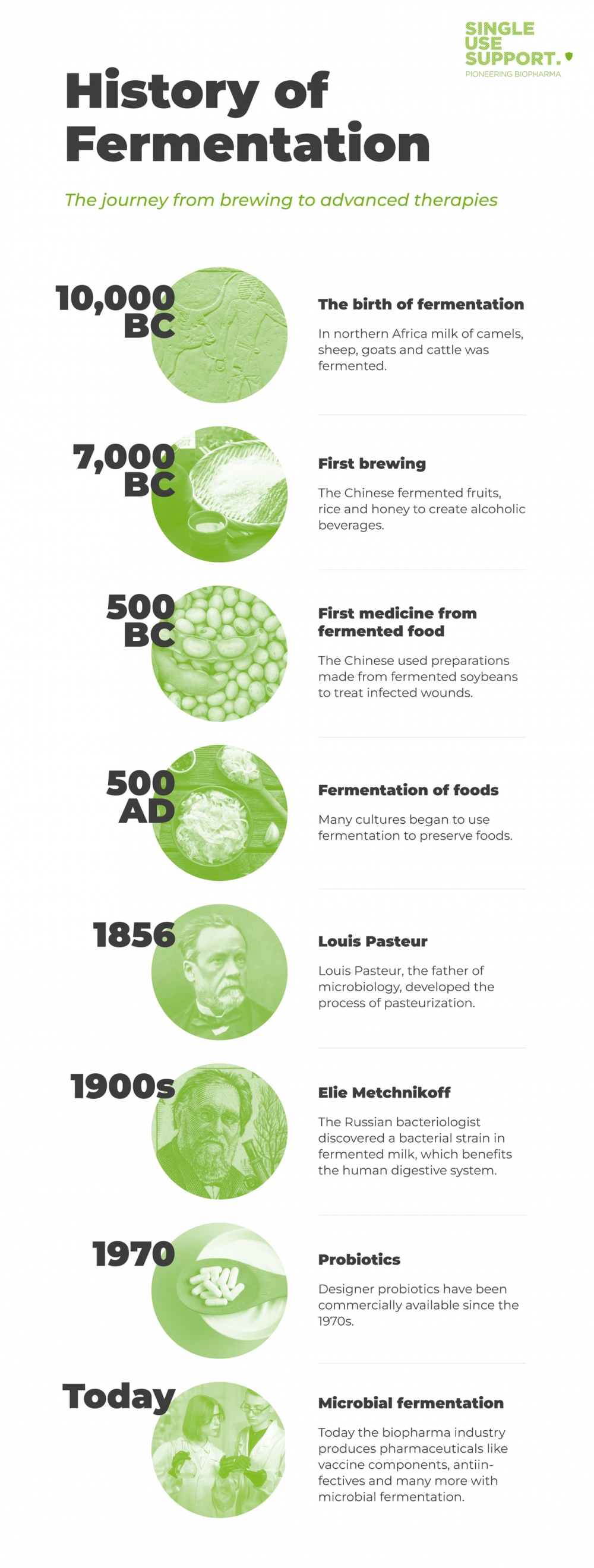 History of fermentation Timeline
