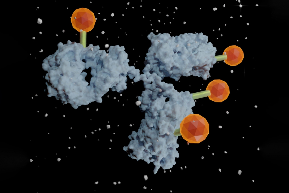 Antibody-Drug Conjugates – a result of bioconjugation