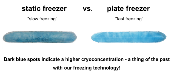 Fast freezing vs slow freezing - static freezer vs plate freezer
