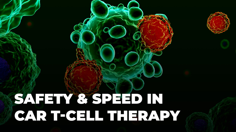 Safety and speed are tow major factors in CAR T cell therapy Safety and speed are tow major factors in CAR T cell therapy