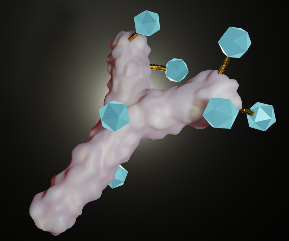 antibody-drug-conjugates-2 antibody-drug-conjugates-2