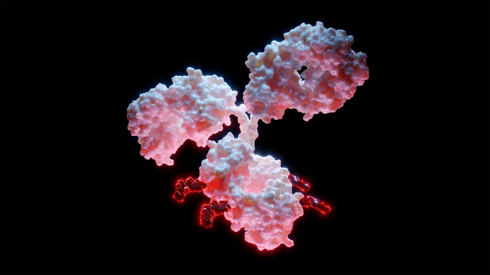 Antibody Drug Conjugate (ADC)
