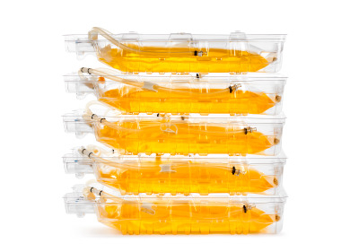 Flexsafe Sartorius shell system Flexsafe Sartorius shell system