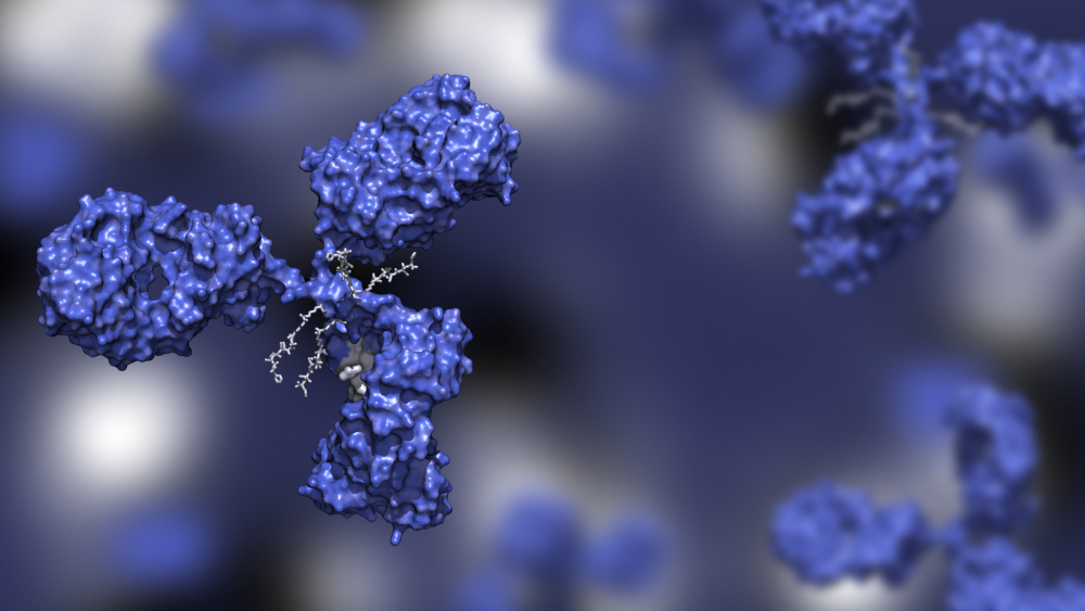 fluid-management antibody-drug conjugate illustration fluid-management antibody-drug conjugate illustration