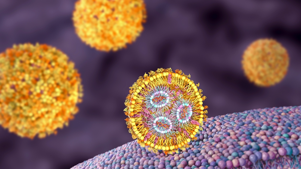 lipid nanoparticles-taking-look-structure