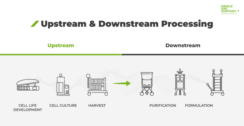What is Upstream and Downstream processing
