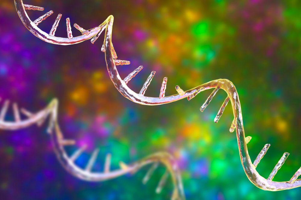 Illustration: Structure of mRNA