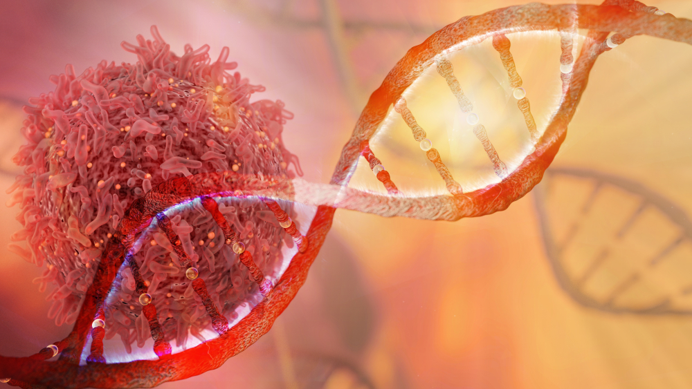 antibody-drug conjugate market dna segment