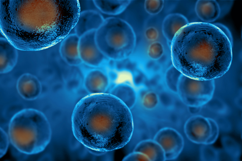 What is autologous? What is autologous?
