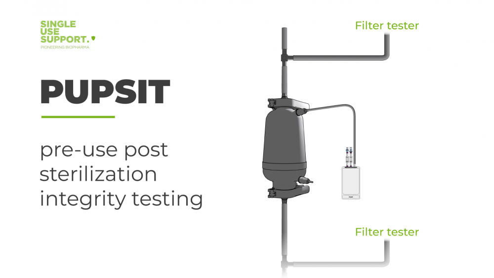 PUPSIT - pre-use post sterilization integrity testing