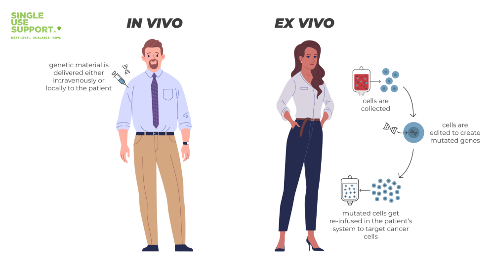 In vivo and ex vivo in cell and gene therapy - Single Use Support