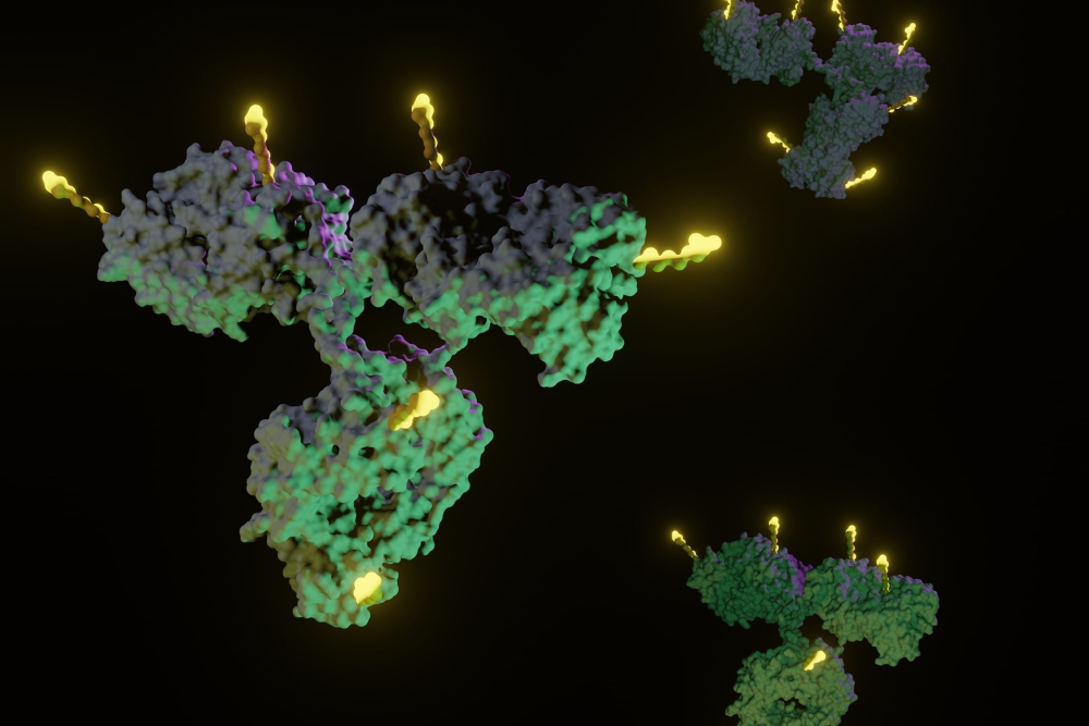 FDA approved antibody-drug conjugates for cancer therapy